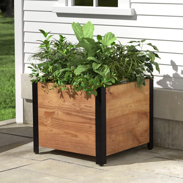 AmazonBasics 方形再生木花盆 黑框木色 實物圖 2